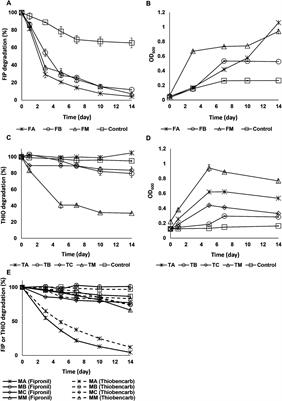 Unveiling six novel bacterial strains for fipronil and thiobencarb biodegradation: efficacy, metabolic pathways, and bioaugmentation potential in paddy soil